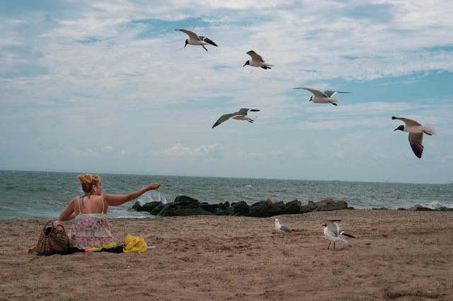 A photo of a woman feeding seagulls at the beach